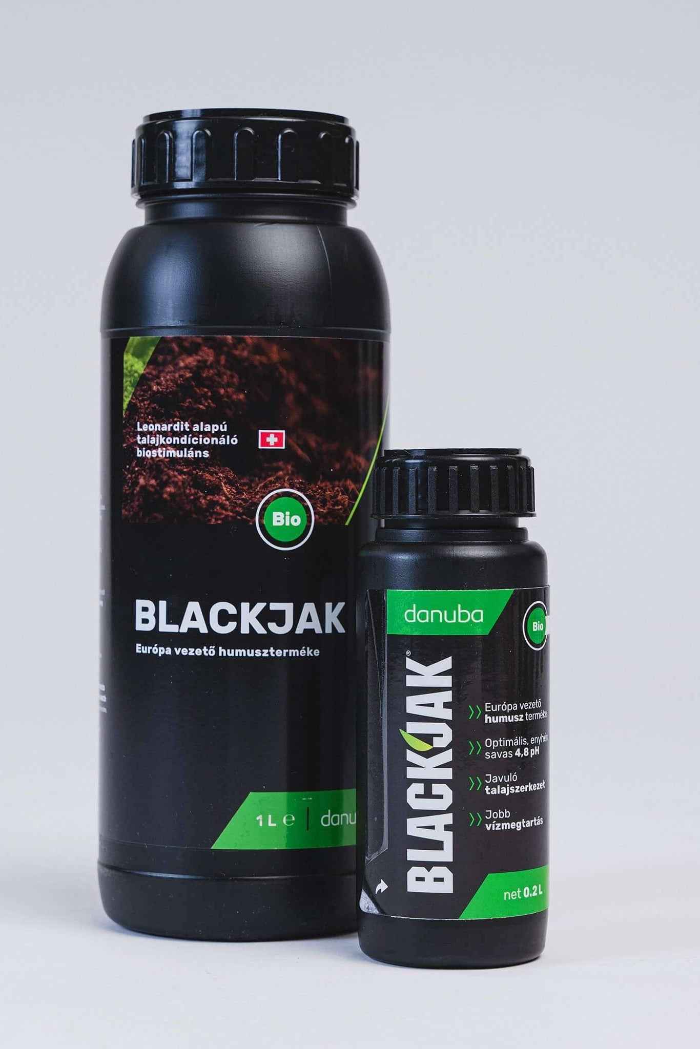 Blackjack