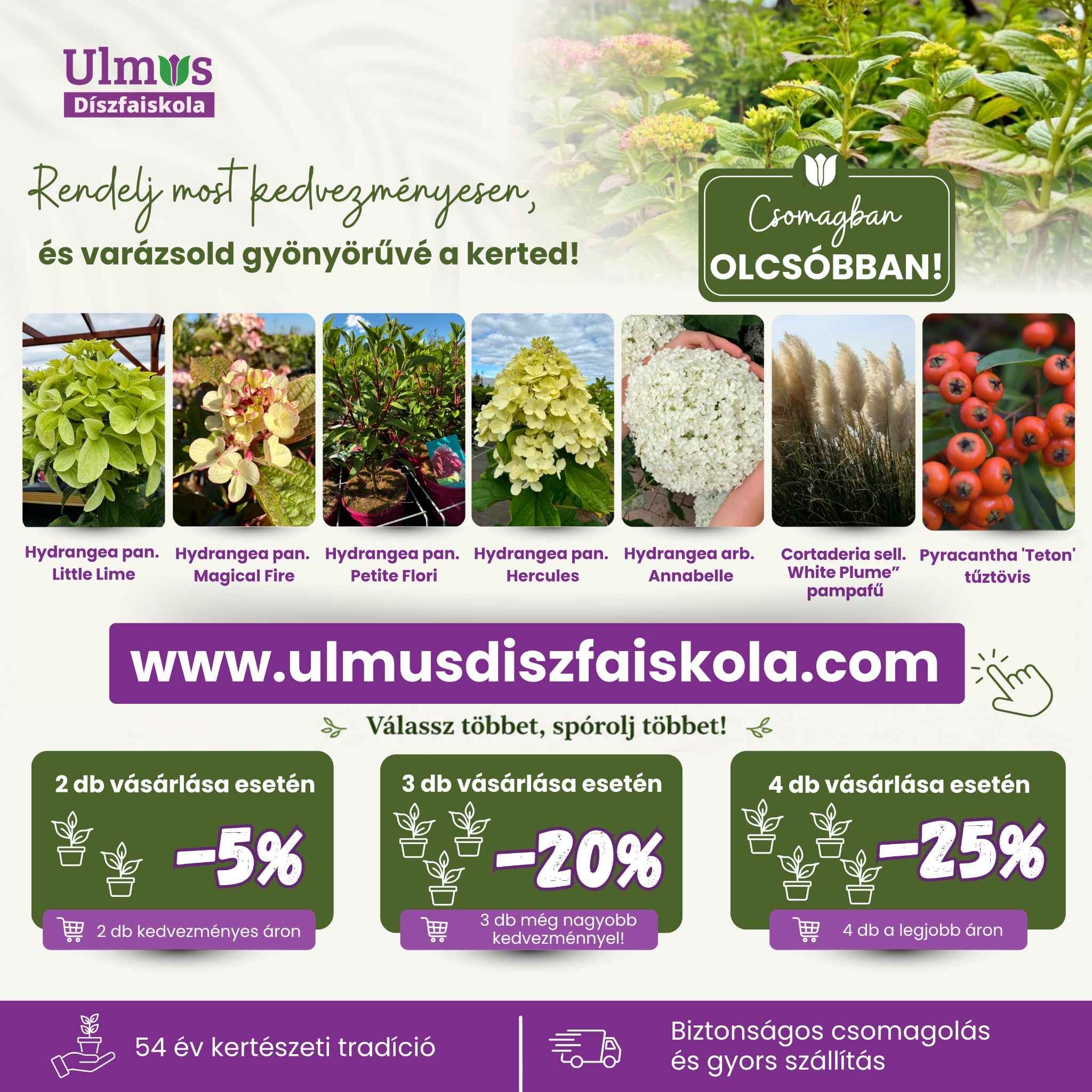 Ulmus 7